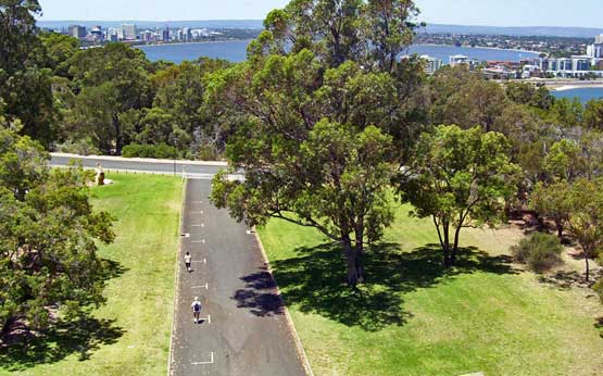 bicycle touring kings park Perth