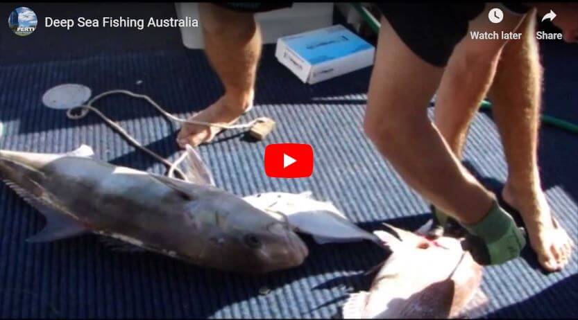 Fishing videos Perth