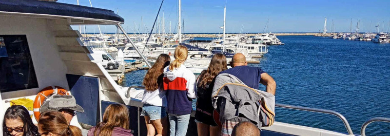 Boats at Hillarys Boat Harbour